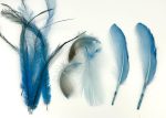 ArtsCraft-162.jpg