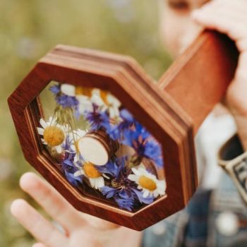 Air Dry Clay Kit